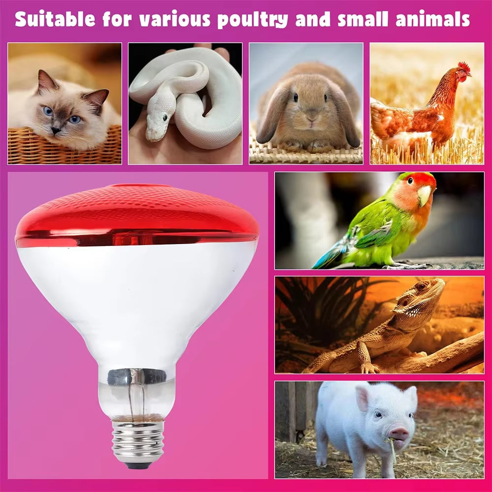 220V Poultry Heat Lamp Bulb Pets Livestock Heats Lamps Bulbs Reptile Amphibian Infrared Insulation Heating Lighting Supplies