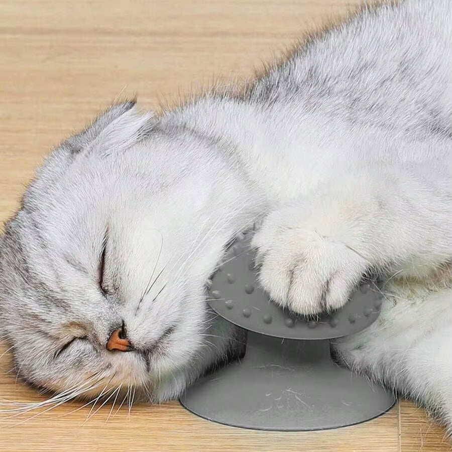 1PC Pet Cat Suction Cup Hair Scrubber, Cat Scratching and Scratching Tool