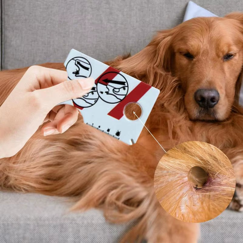 Tick Card for People Tick Remover for Dogs Portable Tick Card with Magnifier for Gently Remove Ticks from People and Pet