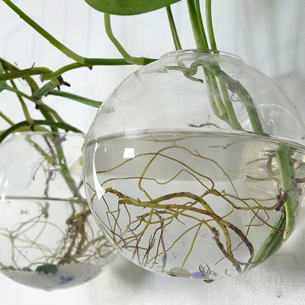 Wall-Hanging Fish Bowl Acrylic Plexiglass Fish Bowl Aquarium Vase Flower Ornament Fish Tank Home Fish Plant Tank Pet Clear Y6R2