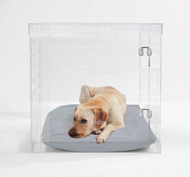 Monogram Clear Dog Crate | Silver Latch | Large