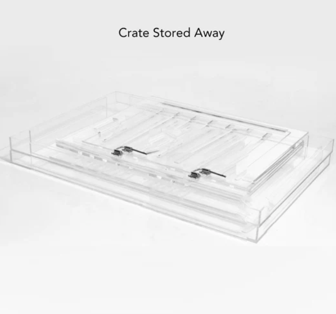Monogram Clear Dog Crate | Silver Latch | Large