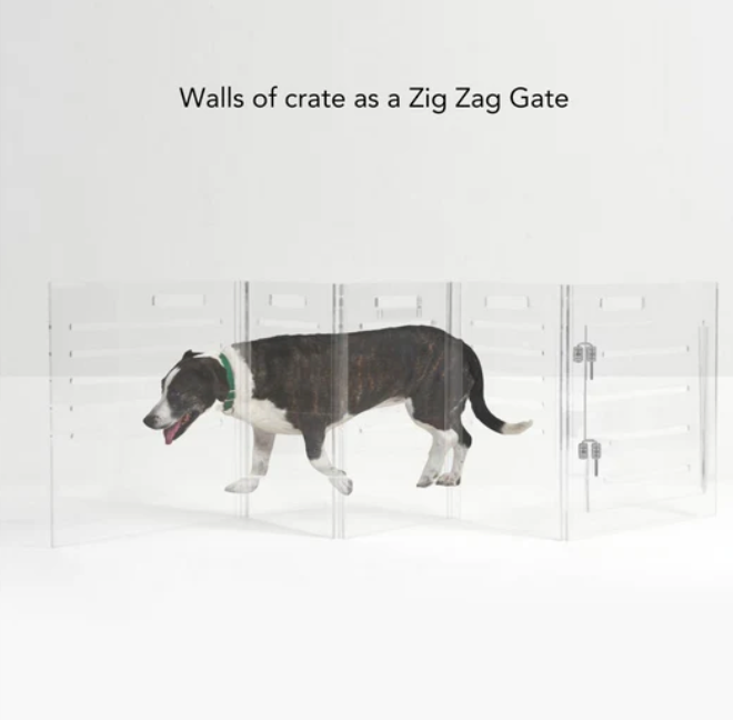 Monogram Clear Dog Crate | Silver Latch | Large