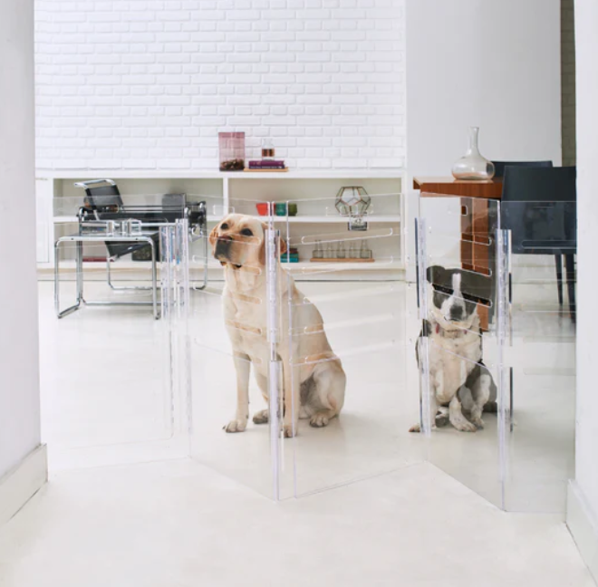 Monogram Clear Dog Crate | Silver Latch | Large