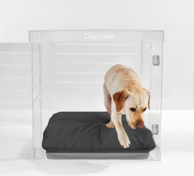 Monogram Clear Dog Crate | Silver Latch | Large