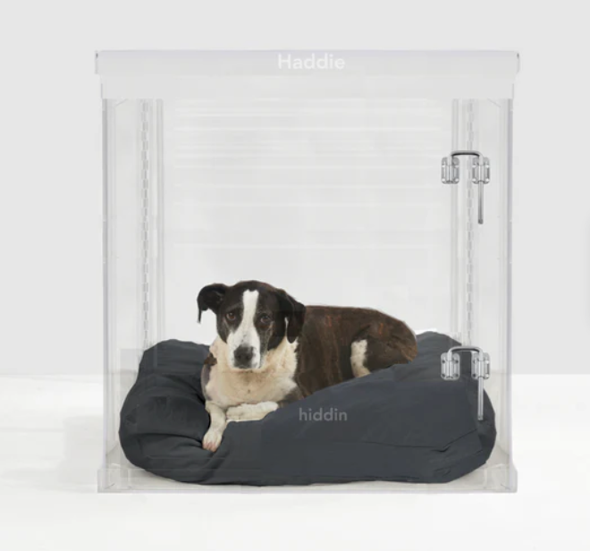 Monogram Clear Dog Crate | Silver Latch | Large