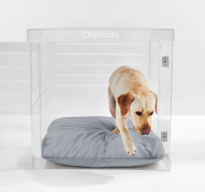 Monogram Clear Dog Crate | Silver Latch | Large