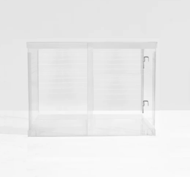 Monogram Clear Dog Crate | Silver Latch | Large