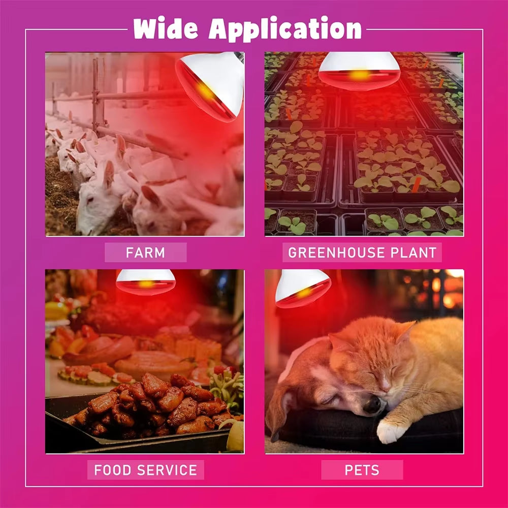 220V Poultry Heat Lamp Bulb Pets Livestock Heats Lamps Bulbs Reptile Amphibian Infrared Insulation Heating Lighting Supplies