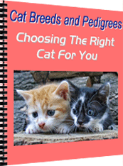 🐱 Find Your Purr-fect Companion: The Ultimate Guide to Cat Breeds & Pedigrees!