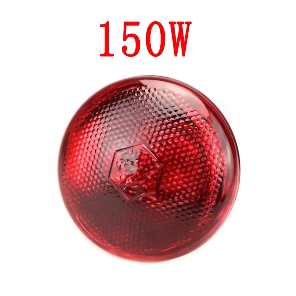 220V Poultry Heat Lamp Bulb Pets Livestock Heats Lamps Bulbs Reptile Amphibian Infrared Insulation Heating Lighting Supplies