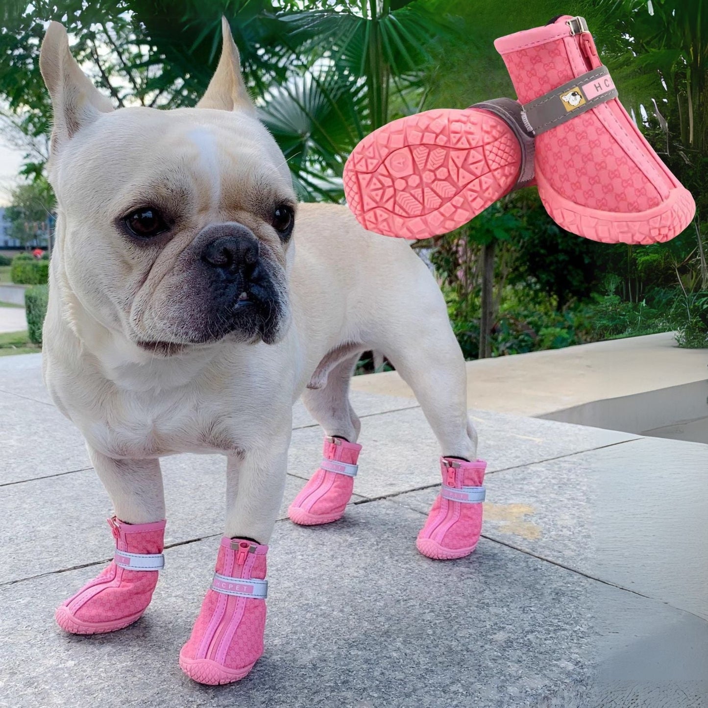 Pawlux Frenchie Booties – Stylish and Protective Dog Shoes