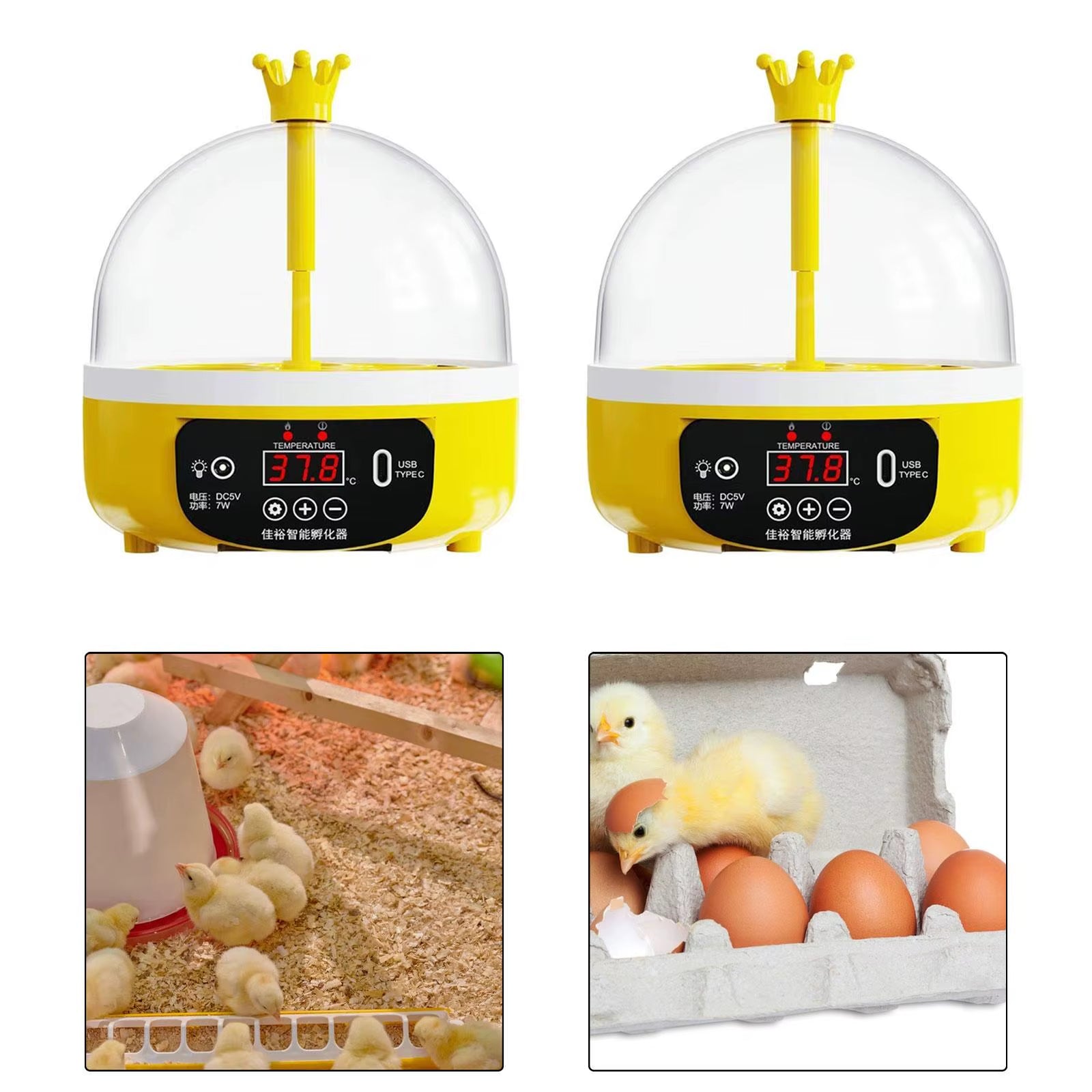 Digital Egg Incubator Poultry Hatcher Hatching Small Egg Turner Tray Household Chicken Incubator for Pigeon Birds Quail Supplies