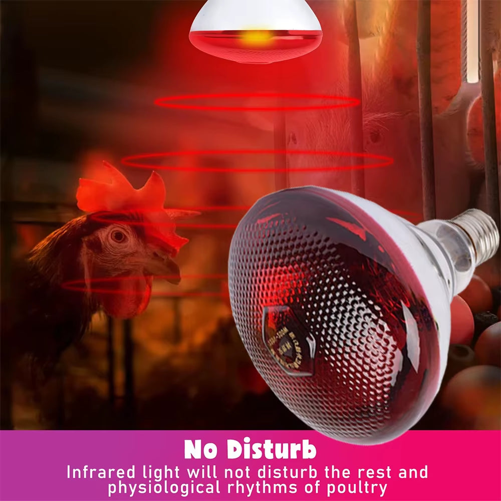 220V Poultry Heat Lamp Bulb Pets Livestock Heats Lamps Bulbs Reptile Amphibian Infrared Insulation Heating Lighting Supplies