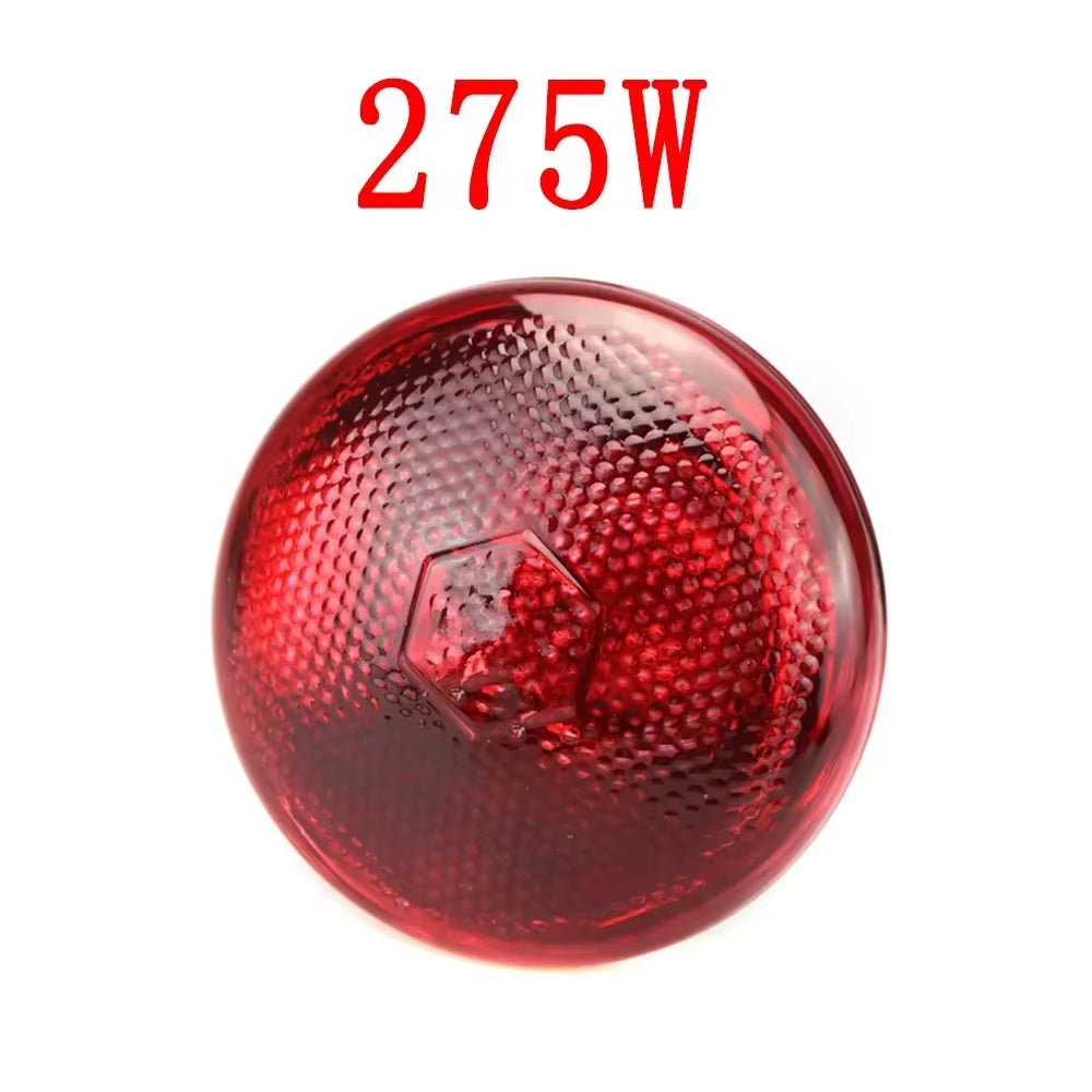 220V Poultry Heat Lamp Bulb Pets Livestock Heats Lamps Bulbs Reptile Amphibian Infrared Insulation Heating Lighting Supplies