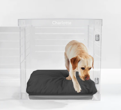 Monogram Clear Dog Crate | Silver Latch | Large