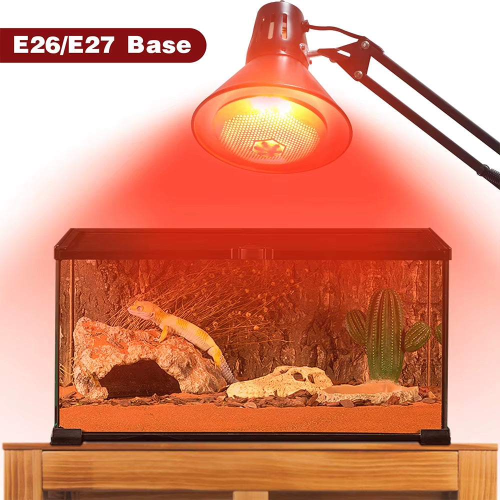 220V Poultry Heat Lamp Bulb Pets Livestock Heats Lamps Bulbs Reptile Amphibian Infrared Insulation Heating Lighting Supplies