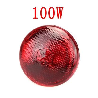 220V Poultry Heat Lamp Bulb Pets Livestock Heats Lamps Bulbs Reptile Amphibian Infrared Insulation Heating Lighting Supplies