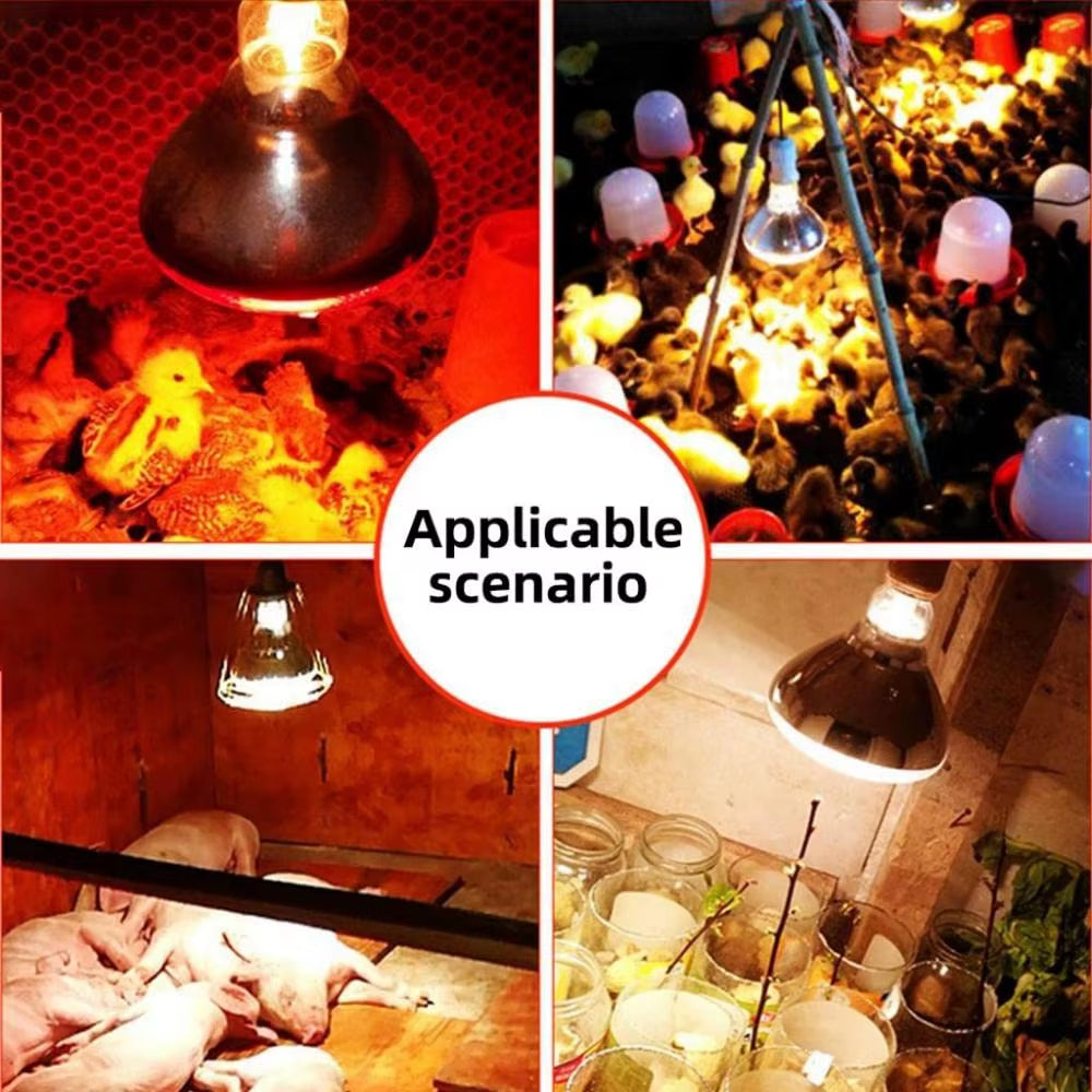 220V Poultry Heat Lamp Bulb Pets Livestock Heats Lamps Bulbs Reptile Amphibian Infrared Insulation Heating Lighting Supplies